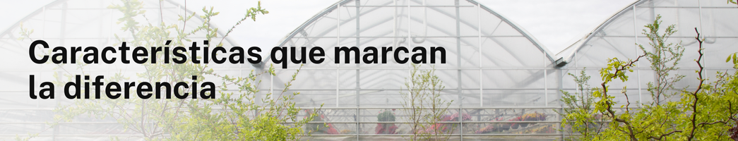 MAXIMUS Controlador Climático - Características que marcan la diferencia