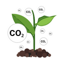 Greenhouse Climate Controller Features - MAXIMUS Controller - C02 levels